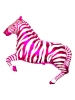 Zebra Fuchsia