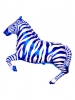 Zebra Blue