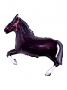 Horse Black